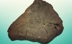 中科院考博沉积岩石学怎么备考？