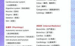 医学考博专业英语词汇如何高效掌握？