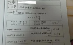 考研二战报名政治面貌填什么？