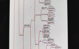 陕师大学前教育考研考什么？难度如何？