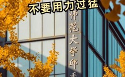 北师大学前考研难不难？