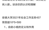安大社会工作考研真题