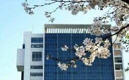 南昌大学风景园林考研怎么准备？