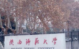 陕师大19考研报考人数多少？