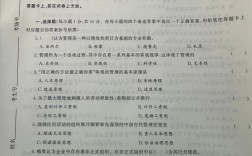 公共管理考研真题考什么？