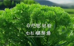 陕西渭南野青，渭南市野青