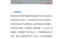 青岛科技大学考博难度如何？