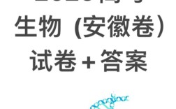 2025年国考 安吉