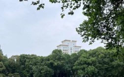 西南财经大学金融学考博