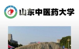 山东中医药大学考博内容有哪些？