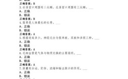 华西解剖15年考博试题有何命题规律？