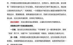 2025国考申论视频如何高效备考？