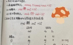 大连化物所计算化学考博如何准备？