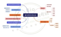 暨南大学生化考研重点有哪些？