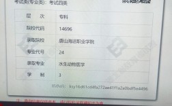 2025考博成绩何时可查？