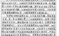 2011国考申论阅卷有何标准与争议？