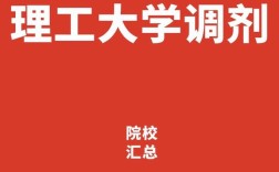 天津理工考研调剂名额及条件是什么？