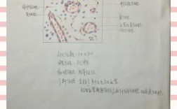 广西医科大学考博病理考什么？