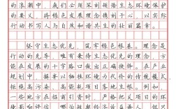 2025国考申论省级