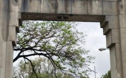 清华电子系考博难不难？