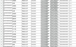 2025国考申论低分