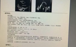 四川大学考博心外科真题