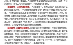 2025国考申论例子怎么用？