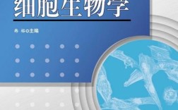 浙大细胞生物学考博如何备考？