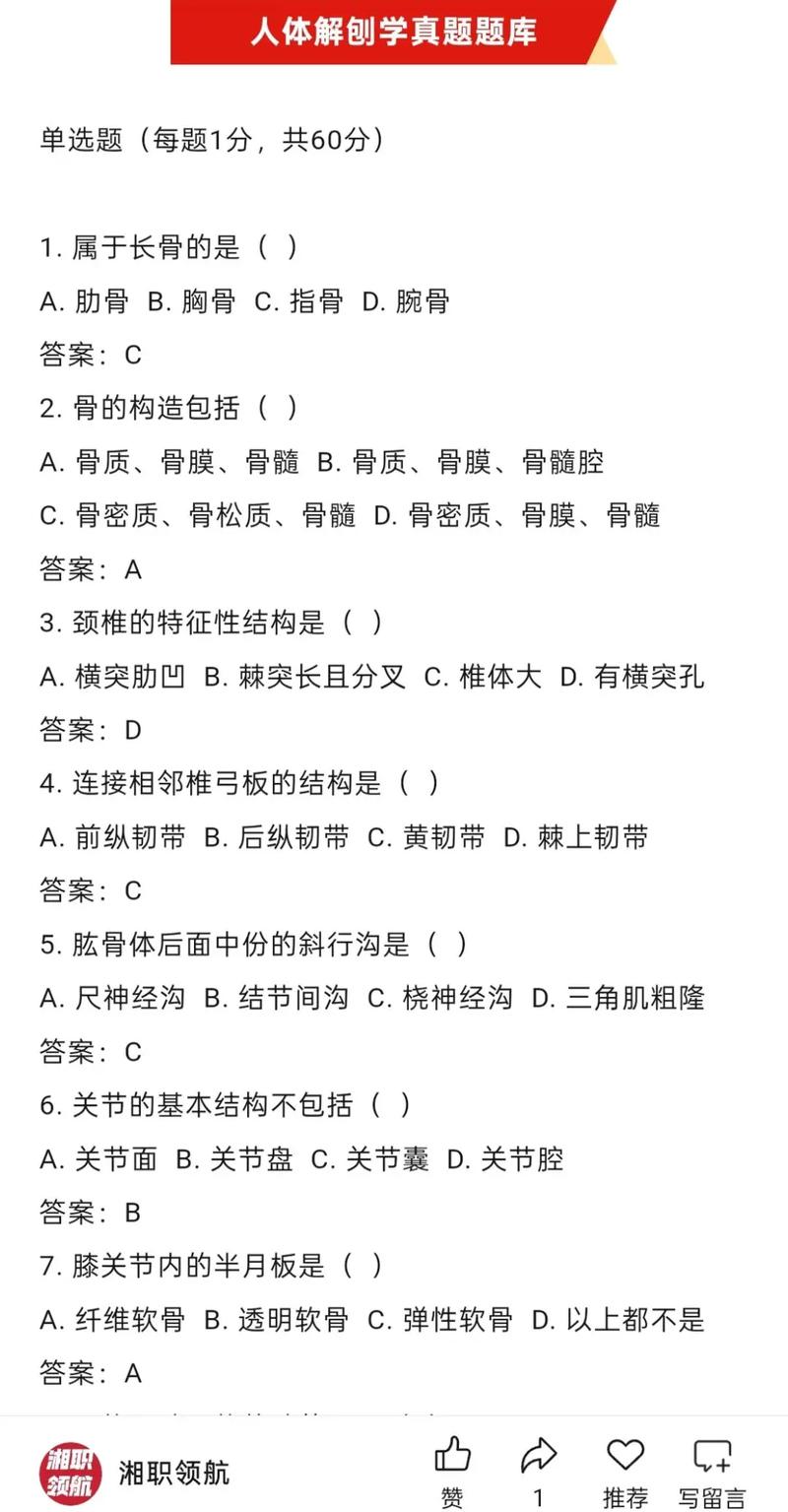 中三解剖学考博真题有何命题规律?-图1 中三解剖学考博真题有何命题规律?-图1