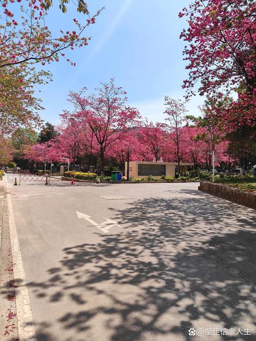 昆明理工大学管理学考博-图3