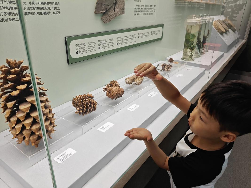 中科院自然科学史学考博有何备考秘诀？-图2