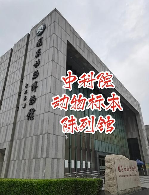 中科院脑科学所考博，如何高效备考？-图3