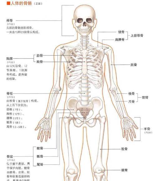 中山大学人体解剖学考博难不难？-图3