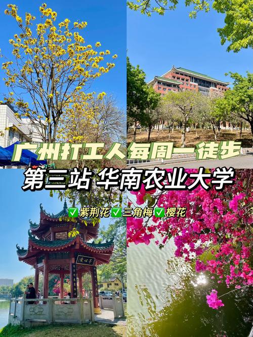 华南农大风景园林考研难不难？-图3