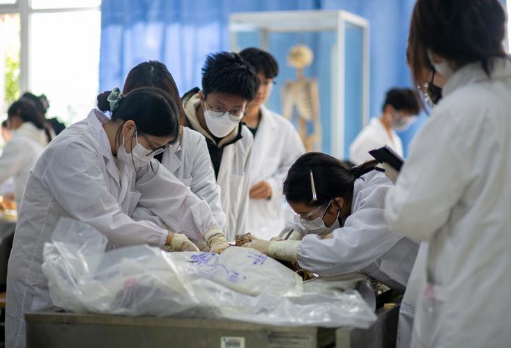 中大医学考博专业课如何高效备考？-图2