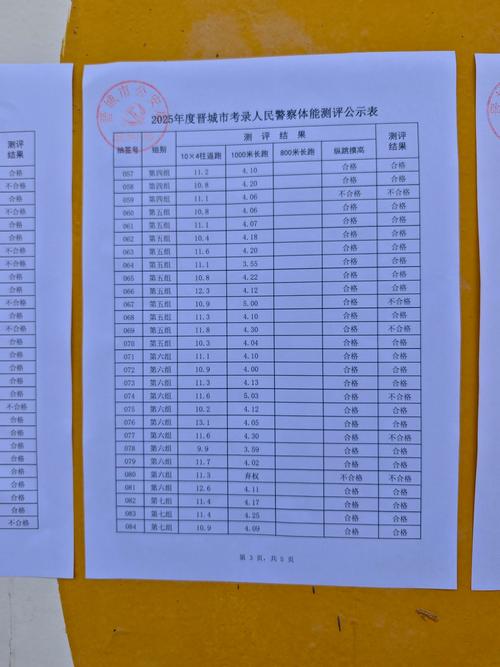 2025国考体能测试标准有哪些?-图1 2025国考体能测试标准有哪些?-图1