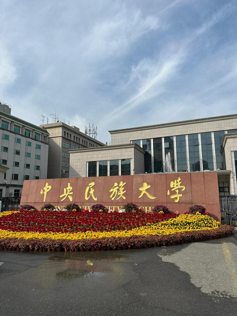 中央民族大学艺术学考博怎么准备？-图1