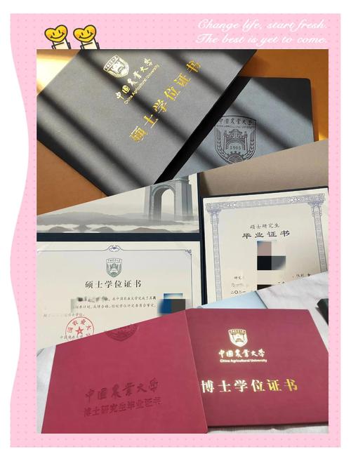 考研三次考博四次，执着还是执念？-图1