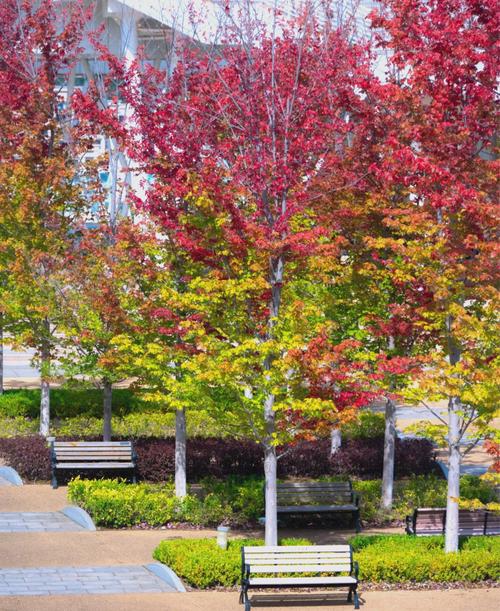 大连医科大学外科学考博如何准备？-图1