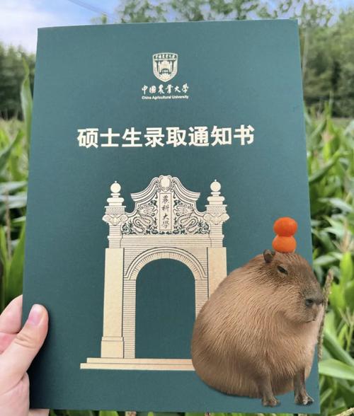 南京农业大学考博信资管是什么？-图3