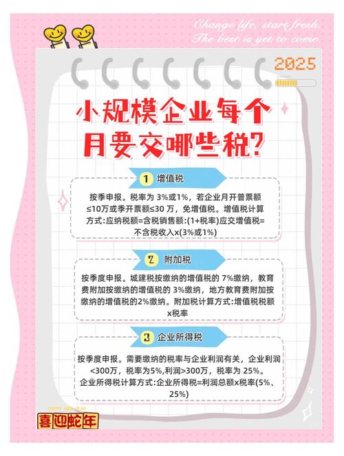 2025国考深圳国税局招考啥条件？-图2