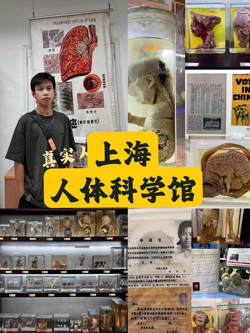 中国上海生命科学院考博如何准备？-图3