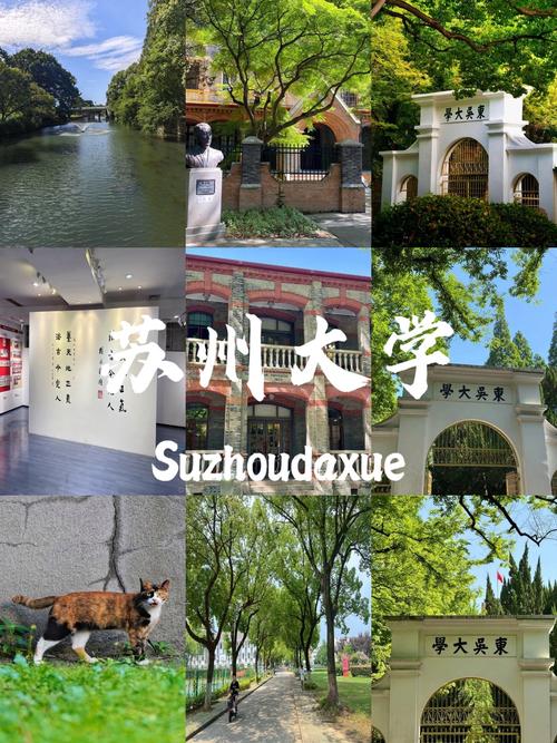 苏州大学文学院考博贴吧有何备考经验？-图1