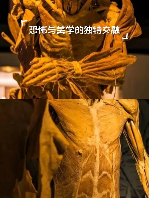 南开大学人体解剖学考博如何高效备考？-图1