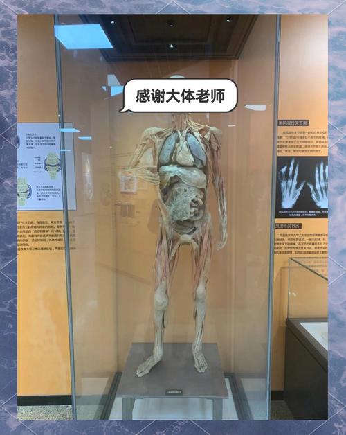 南开大学人体解剖学考博如何高效备考？-图3