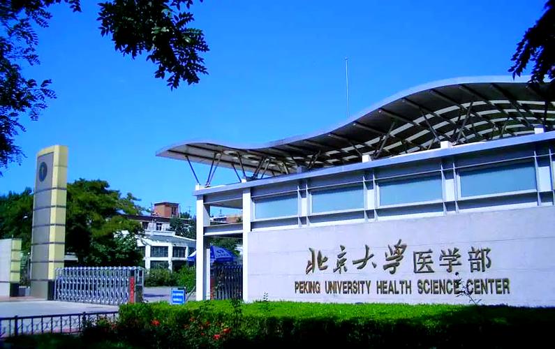 北大基础医学院考博有何关键要点？-图1