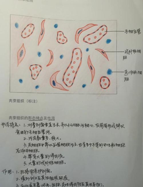 昆明医科大学考博病理学难度如何？-图2