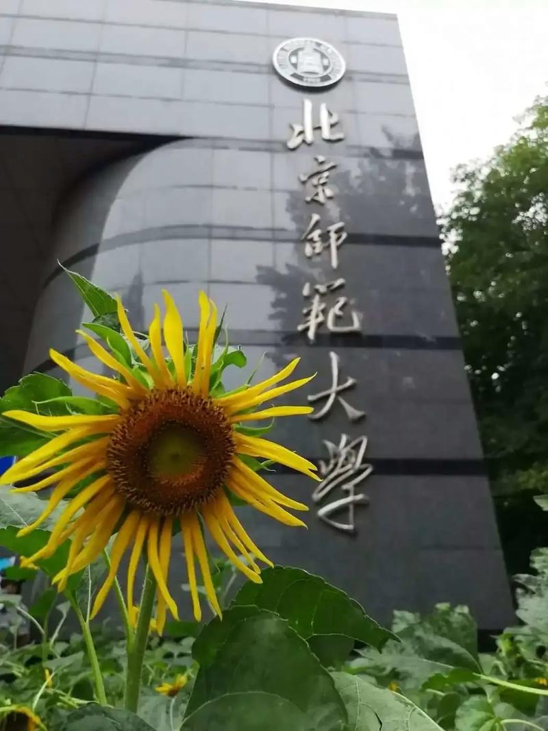 北师大地理学考博如何准备？-图3