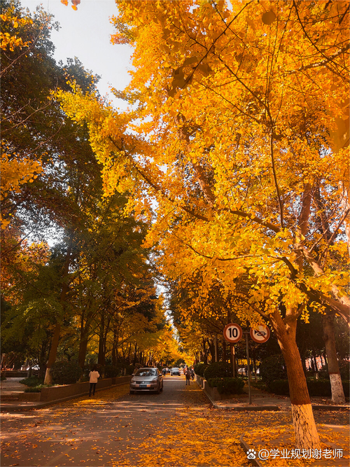 陕西师大世界史考博有何备考重点？-图1