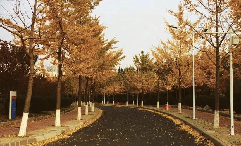 东北财经大学经济学考博难度如何？-图1